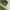 K2 Outdoor Jacket Waterproof Green photo 7