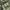 K2 Outdoor Jacket Waterproof Green photo 6