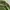 K2 Outdoor Jacket Waterproof Green photo 4