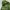 K2 Outdoor Jacket Waterproof Green photo 3