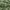 K2 Outdoor Jacket Waterproof Green photo 5