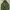 K2 Outdoor Jacket Waterproof Green