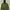 K2 Outdoor Jacket Waterproof Green photo 1
