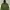 K2 Outdoor Jacket Waterproof Green