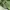 K2 Outdoor Jacket Waterproof Green photo 8
