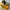 AIR JORDAN 1 TAXI photo 4