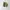 Salomon XT-6 Advanced Gore-Tex Carbon Desert Sage photo 5