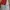 Supreme Streetwear Sportswear Track jacket Pria white red photo 2
