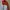 Supreme Streetwear Sportswear Track jacket Pria white red photo 3