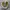 Converse Chuck Taylor All Star 1970 High Field Surplus Egret photo 2