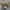 Converse Chuck Taylor All Star 1970 High Field Surplus Egret photo 1