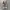 Converse Chuck Taylor All Star 1970 High Field Surplus Egret photo 3