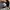 Adidas Casual Sneakers Pria multicolor photo 7