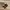 Adidas Casual Sneakers Pria multicolor photo 6
