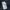 Hoodie Zipper Thom Browne photo 4