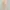 soft beige asymmetrical bandeau tube beach top photo 4