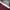 Vintage Sweater Pria burgundy white photo 6
