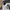 Long Pants Nylon Timberland photo 7