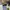 Long Pants Nylon Timberland photo 6