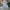 Long Pants Nylon Timberland photo 1