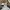 Long Pants Nylon Timberland photo 9