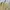 Vintage Coquette Summer Dress Wanita White Yellow