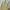 Vintage Coquette Summer dress Wanita white yellow photo 5