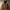 Carhartt Rain Defender  Brown