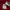 Hoodie Adidas Center Logo Art Football Helmets Flame photo 4