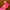 Y2k Pink Cap