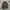 Smex M65 vintage military jacket photo 1