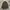 Smex M65 Vintage Military Jacket