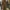 Smex M65 vintage military jacket photo 8