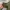 Smex M65 vintage military jacket photo 6