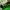 Minimalist Beach bag Wanita green photo 5