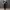 Chino Pants Sirius Black — Erigo photo 4