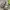 Crocs Stomp Fisherman Ukuran W7 ORIGINAL STORE photo 2