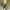 Y2K Casual Crossbody Bag Wanita green photo 3