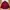 Alpha Cubic Sport Corduroy Shirt – Deep Red Edition