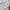 8seconds Muslim Baju muslim Pria white photo 4