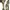 Y2k E Su Printed Flare Pants Stained Glass Gothic Art