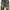 Y2k E su Printed Flare Pants Stained Glass Gothic Art photo 7
