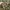 Obey duck camo long shirt photo 3