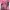 Y2k Lee Tops 'Em All With Kissing Graphic Pink photo 2