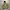 Grn Japan Reversible Jacket photo 1