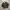 M83 Swiss Military Field Jacket photo 1
