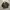 M83 Swiss Military Field Jacket
