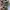 M83 Swiss Military Field Jacket photo 5