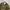 M83 Swiss Military Field Jacket photo 3