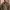M83 Swiss Military Field Jacket photo 2